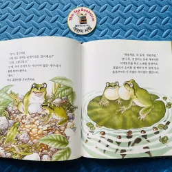 관찰동화 Truyện quan sát quan sát thiên nhiên 784617