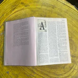 ĐẠI TỪ ĐIỂN ANH - VIỆT - ENGLISH - VIETNAMESE DICTIONARY 730608