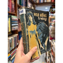 HOA HỒNG TRẮNG - SƠN TÙNG