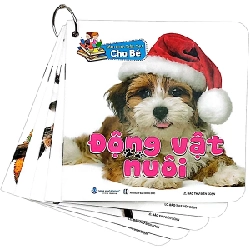 Bộ sách Bách Khoa Toàn Thư Cho Bé (Bộ 5 Cuốn) - Bảo Thư