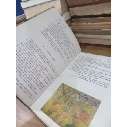 l'oiseau-lyre lecture - G. Giraudin, J. Vigo 1022671