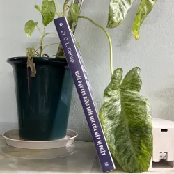 Nuôi con bằng trái tim của một vị phật 746424