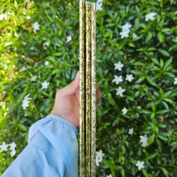 COMBO "GÁY VÀNG" HUYỀN THOẠI - LITTLE GOLDEN BOOKS 995247