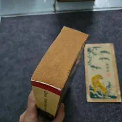 Twenty years after - alexandrer Dumas 740863