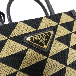 Túi Prada 1BA355 616661