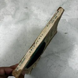 Adam và Eva 1031597