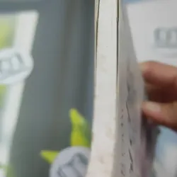 Nội Chiến Trong Gia Đình - Trần Thị Giông 727353