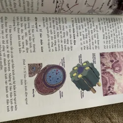 Mô học, sách y, khổ lớn 240 trang  791883