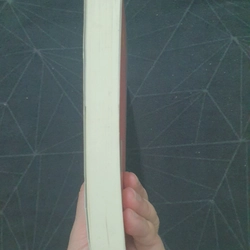 "Bạn đắt giá bao nhiêu" - Vãn Tình 497221