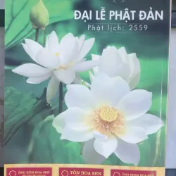 Suối Nguồn - Tập 17 757002