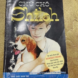 Combo CHÚ CHÓ SHILOH - Phyllis Reynolds Naylor 474074