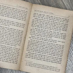 📖 Cá tính sáng tạo của nhà văn và sự phát triển văn học 719226