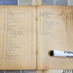 Thơ Huy Cận: HẠT LẠI GIEO 703968