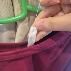 Áo nỉ nữ Santa Monica màu mận - Avella - sz 16 785884