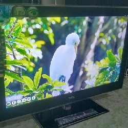 Tivi Led Mỏng 32" TCL Viền Kính Full Phụ Kiện Thanh lý 6234