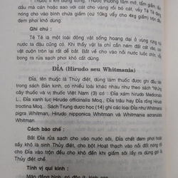DƯỢC HỒI CỔ TRUYỀN  539026