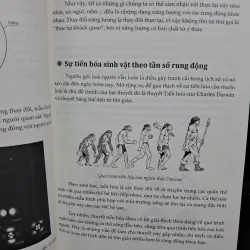 Luật tâm thức 1002770