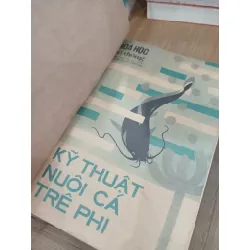 Kỹ thuật nuôi cá trê phi 706078