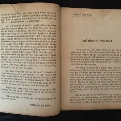 Tinh sử Việt Nam 991505