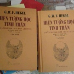 Hiện tượng học tinh thần Hegel 70989