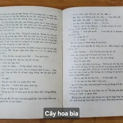 Tiểu thuyết CÂY HOA BIA
-
NXB Phụ nữ 1983 711657