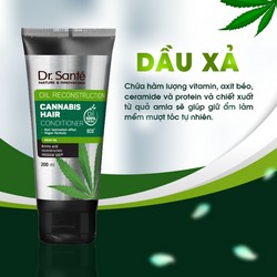 [BỘ CHĂM SÓC TÓC CHUYÊN SÂU – PHỤC HỒI HƯ TỔN] Cannabis Hair [CAM KẾT SẢN PHẨM CHÍNH HÃNG] 77407