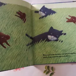 Cat and Mouse in the Night 1002073