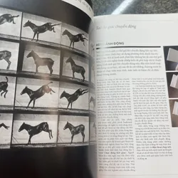 100 ý tưởng thay đổi nhiếp ảnh Mary Warner Marien 689524