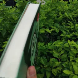 Đen, trắng và ánh nắng tiểu thuyết của Nam Quảng Tử 995298