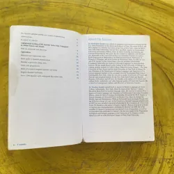 501 SPANISH VERBS - BARRON’S 1029363