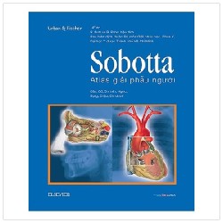 Sobotta Atlas Giải Phẫu Người New 100% HCM.PO 155681