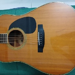 Cần bán Guitar Morris W-30 46099