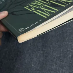 Cánh đồng bất tận - Nguyễn Ngọc Tư 931269