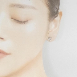 PT900 Bông tai kim cương 0.12CT - Hàng hiệu Chính hãng 870698