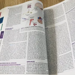 HARRISON’S Principles of Internal Medicine – 17th Edition (2008)  933222