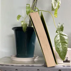 Hiểu về trái tim - Minh Niệm 736319