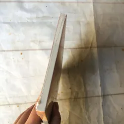 Gã Du Đãng Chúng Ta Đang Lùng Kiếm - Le Thi Diem Thuy 745417