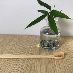 Bamboo tooth brush by JAPAN - ECO TAKE 1339