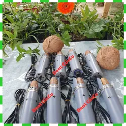 Máy Nạo Dừa Cầm Tay Bằng Điện 220v Mini | Nạo Rau Củ , Khoai, Sả | Chỉnh Công Suất 6 Cấp 751490