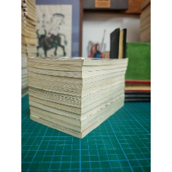 Truyện tranh Tripeace 576227