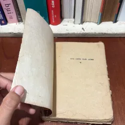 II Văn Học Nước Ngoài: Rào Chắn Cuối Cùng - Đích PhrenXít - 1983 765301