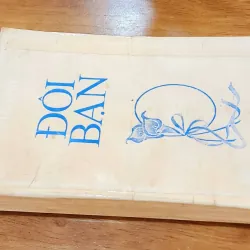 Tiểu thuyết lãng mạn kinh điển Việt Nam: ĐÔI BẠN (Tác giả: Nhất Linh) 753674