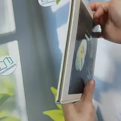 Ý Hoa ( Song Ngữ) - Hồ Anh Thái 750833