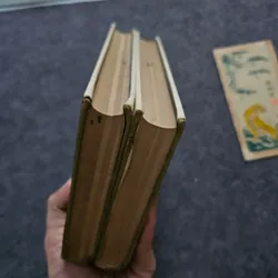 Virgin soil upturned - Mikhail Sholokhov 740869