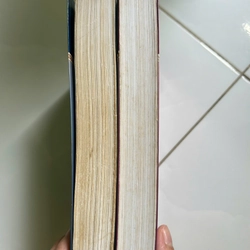 Mối Tình Đầu Của Napoléon 474236