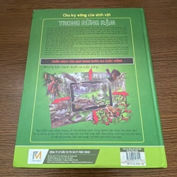 Chu kỳ sống của sinh vật trong rừng rậm 357832
