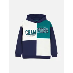 Bộ nỉ bé trai hàng VNXK ( áo có lót lớp nỉ mỏng bên trong) 782982