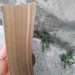 Từ tòa Bạch Ốc đến dinh Độc Lập của Nguyễn Tiến Hưng  1030432