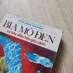 Bia mộ đen và bầy diều hâu gãy cánh | Erich Maria Remarque 503737