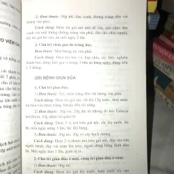 Tỏi trị bách bệnh - Nguyễn Bá Mão 1031521
